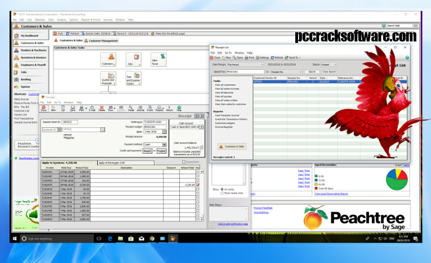 peachtree 2010 serial key free download